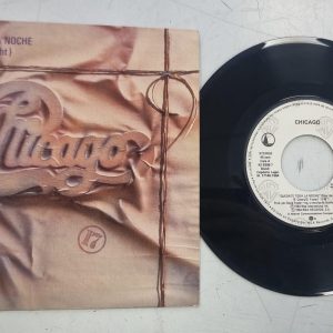 VINILO 7" CHICAGO STAY THE NIGHT QUEDATE TODA LA NOCHE