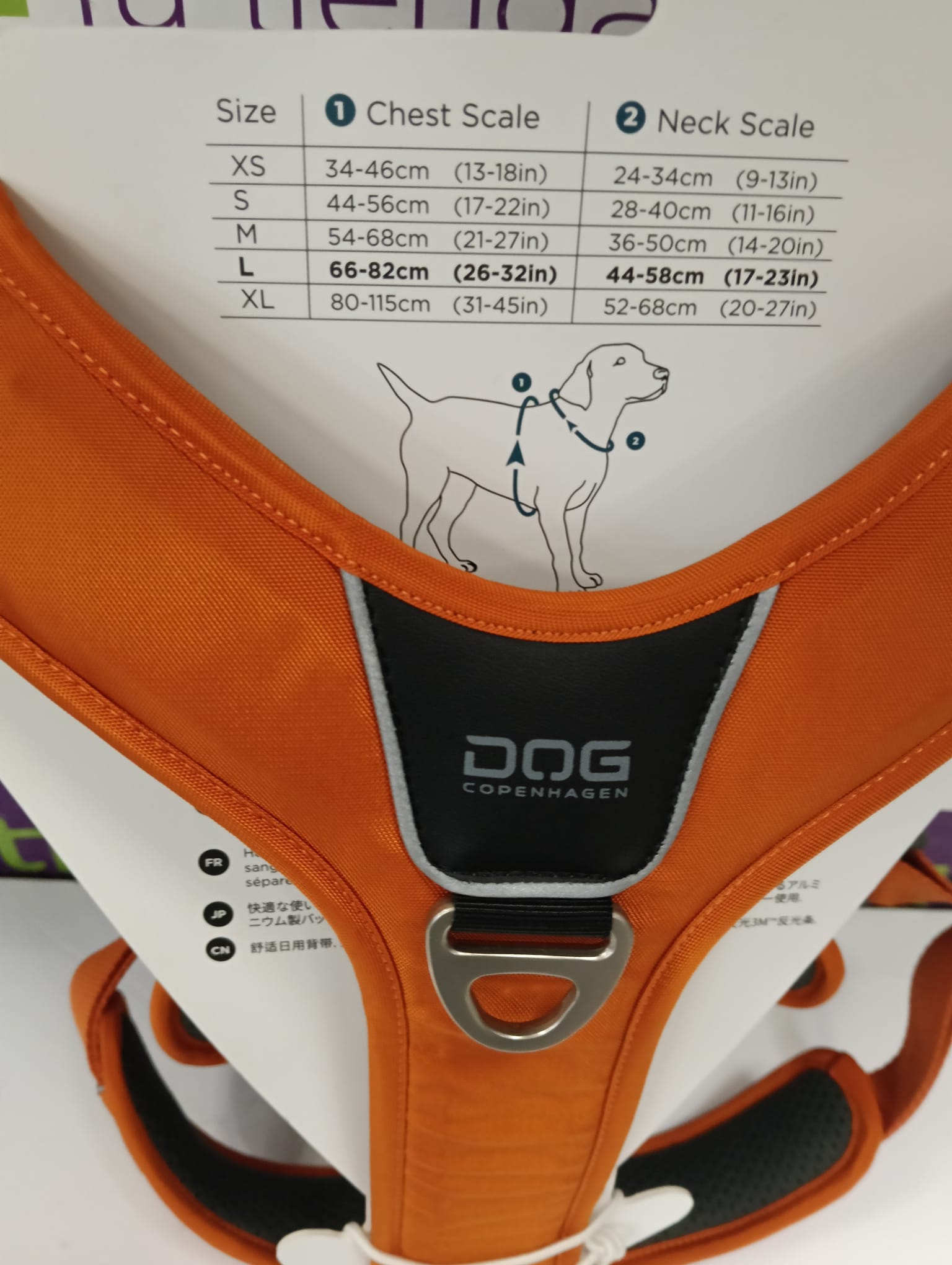 CORREA PERRO DOG COPENHAGEN T.L NARANJA - Imagen 3
