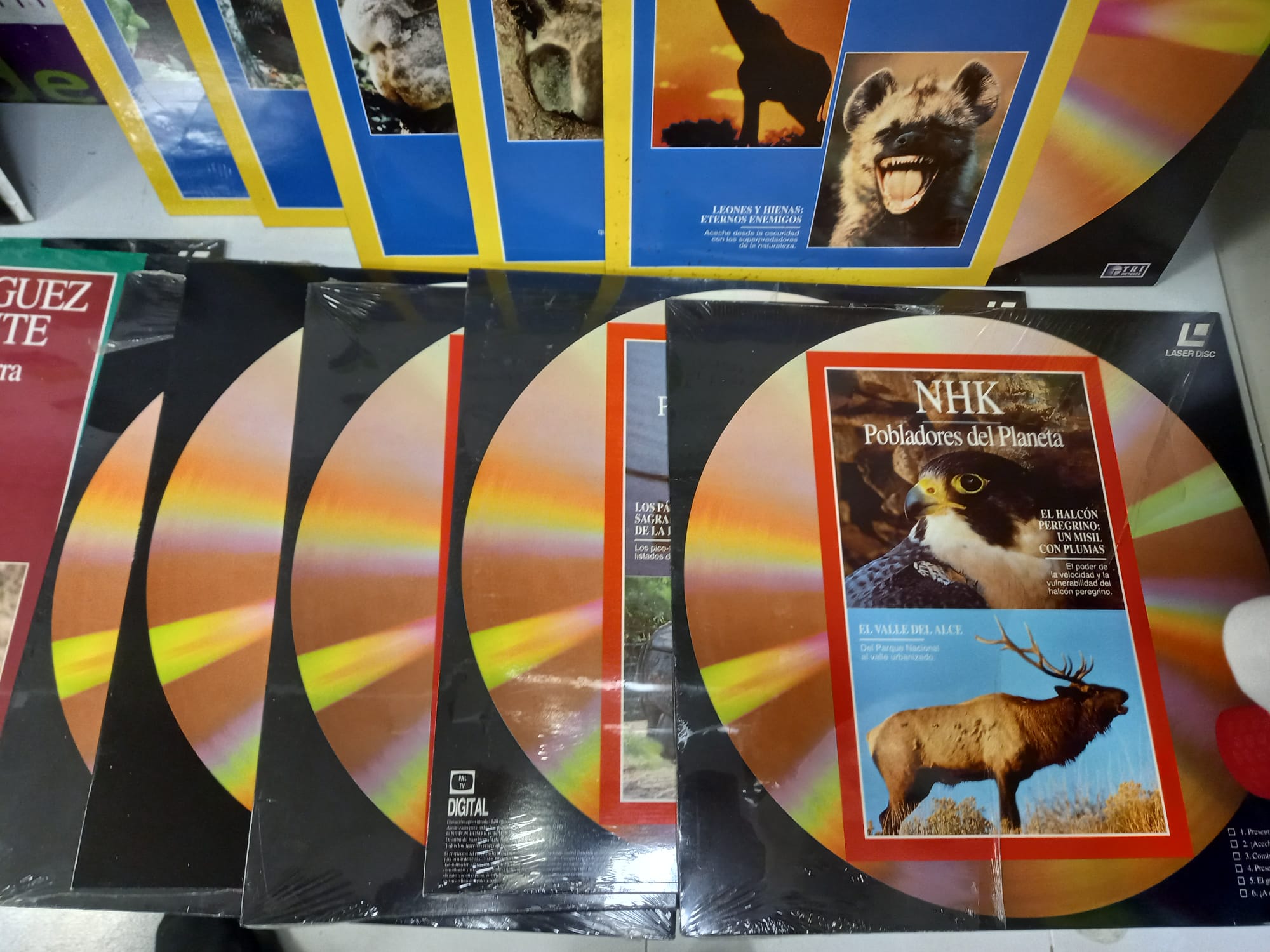 COLECCION LASERDISC ANIMALES - Imagen 4