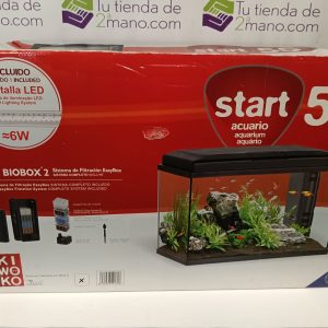 ACUARIO START 55 KIWOKO