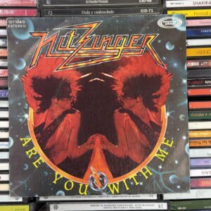 VINILO SINGLE NITZINGER ARE YOU WITH ME