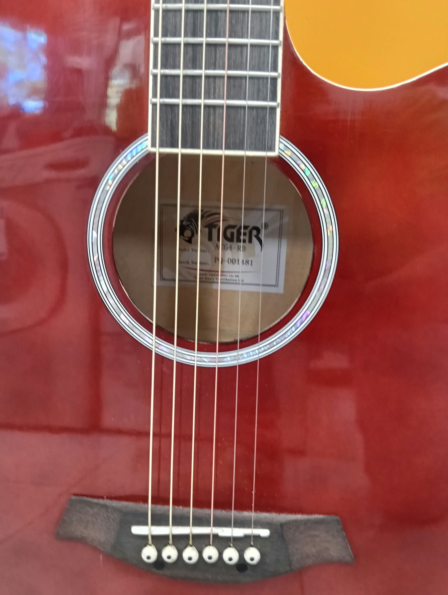GUITARRA ELECTRO ACUSTICA TIGER ACG-4BL + FUNDA - Imagen 4